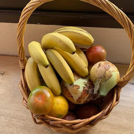 Apartman Pambnb - Nature Retreat With Mountain Views & Fiber